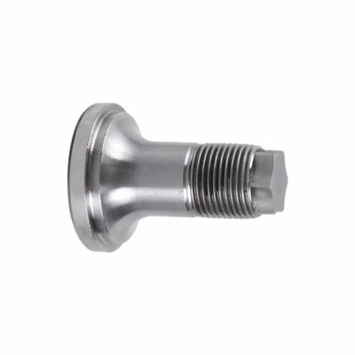 Condition OEM Precision CNC Machining Brass Part of Butterfly Nuts for Precision
