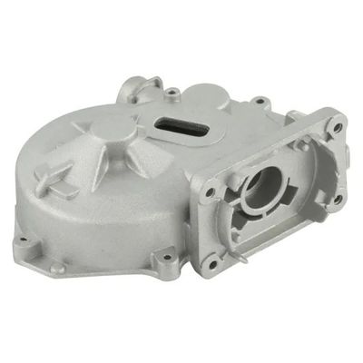 Made in OEM/ODM Die Casting Customization with Horizontal Pressure Chamber Structure