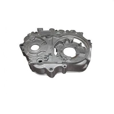 OEM Customized Aluminum Alloy Die Casting Process with Aluminum Die Casting Process