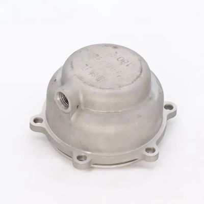 Custom Steel Cast Zinc Die Casting Aluminum for Drawing Format STP/Step/Igs/Dwg/Pdf