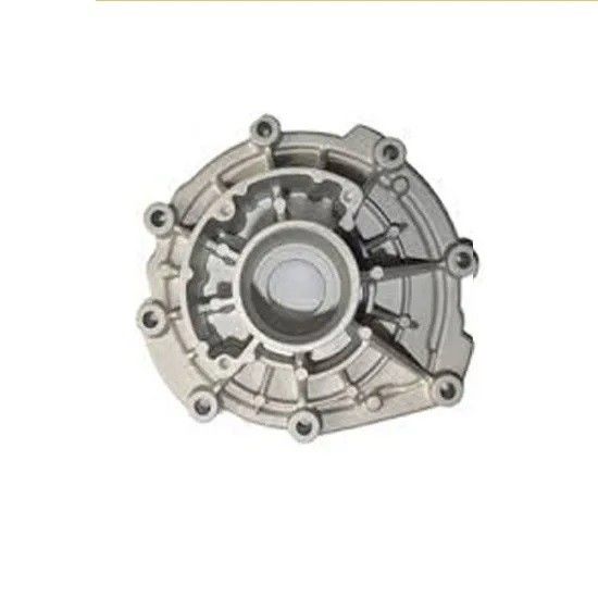 OEM Customized Aluminum Alloy Die Casting Process with Aluminum Die Casting Process